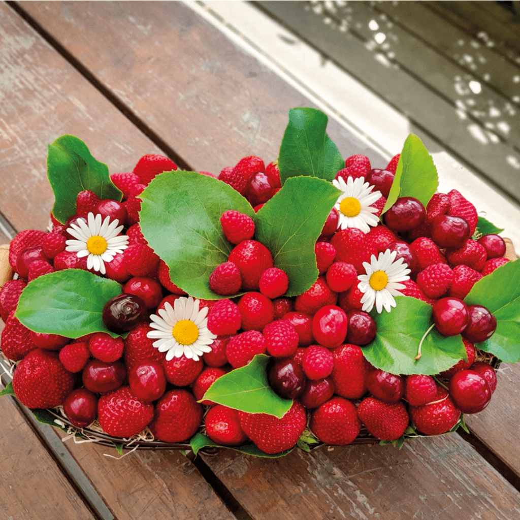 Panier de fruits | Ferme Fruitière de la Hautière